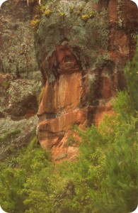 Face of an Inca man