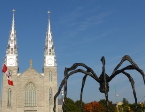 Basilica % Spider