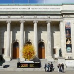 Museum of Fine Arts